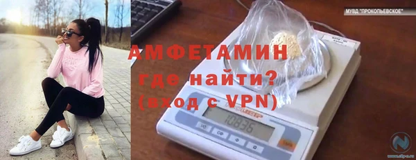 сатива Абдулино