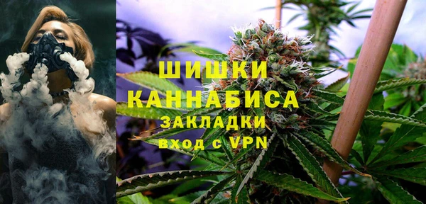 сатива Абдулино