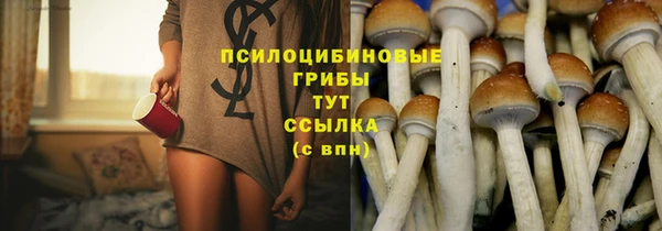 сатива Абдулино