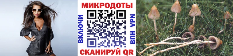 Галлюциногенные грибы мицелий  купить  цена  OMG онион  Севастополь 